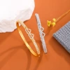 Cross-border trade bestseller wholesale bracelet, double-row zircon micro-inlaid with zircon double hearts, exuding a sense of high-end color retention and luxury details Picture